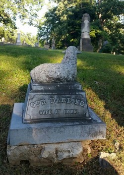 yinisbestpony:  Riverside Cemetery ~ Asheville,