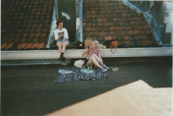n1n444:  disposables from our roofpicknick