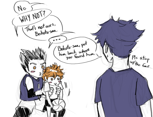 sheeperscreepers:  “Bokuto-san. Bokuto-san please don’t jostle him at me-” This is pretty much the training camp, honestly.  bonus: 