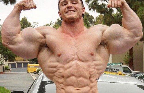 musclegrowthcat - Muscle Growth Cat