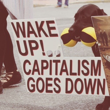 lambrini-socialism:highlyspecificmoodboards:communist dog moodboard[got a highly specific moodboard 
