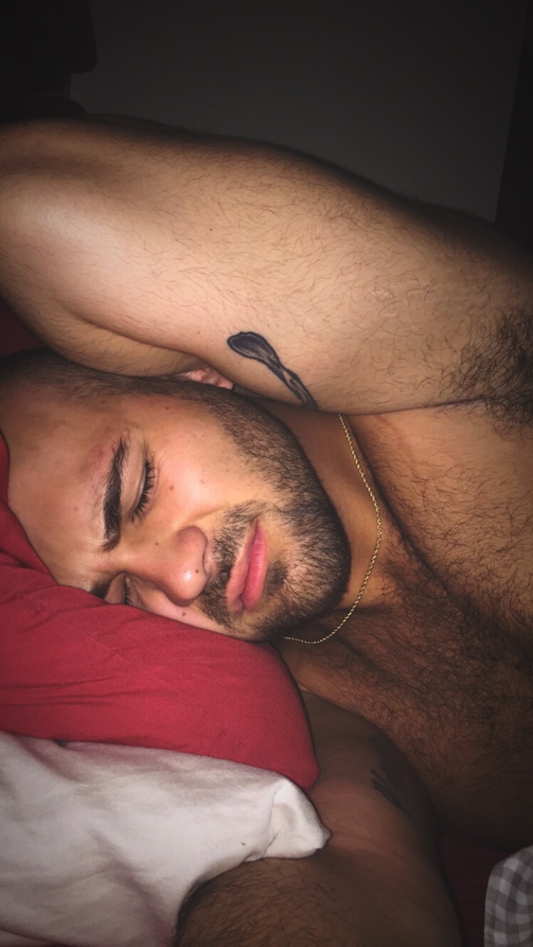 that-001-guy:  Excessive posts, but goodmorning👽