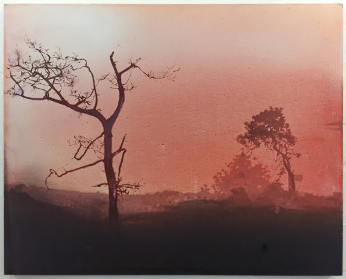 thunderstruck9:Elizabeth Magill (Irish, b. 1959), Fota Park Red, 2000. Oil on canvas, 122 x 152 cm.
