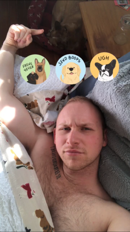 logblog:Count the number of puppies in this pic