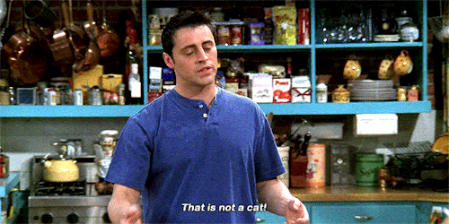 FRIENDS (S05E21) The One With The Ball.