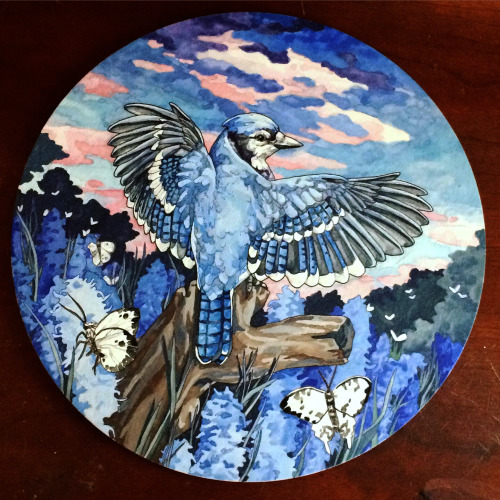 libberkib: Bluejay Gouache and Ballpoint pen on 12 inch Wooden Panel$300, message if interested