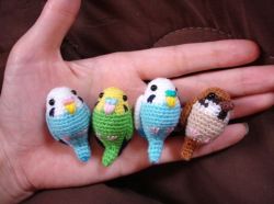 anotherpearl:  crystal-wisdoms:  Crochet Parakeets and Sparrow  Birbs! 