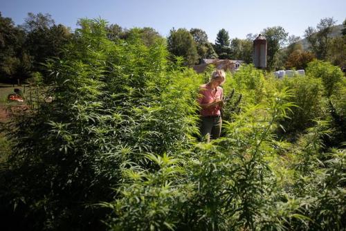 Roxann Roche doesn’t expect to get rich farming. She and her husband both have other jobs. She