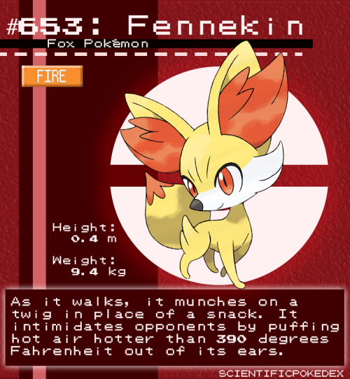 Requested AnonymouslyFennekin is one of those pokémon that has a near-perfect counterpart in our wor