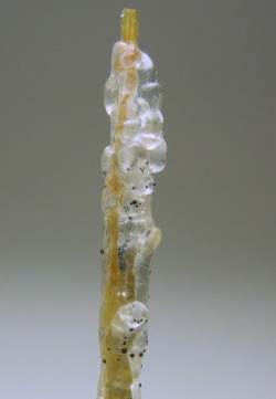 gemineral:  Hyalite on Rutile via AllofHerStones on Etsy