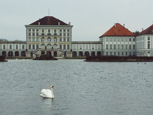 nymphenburg