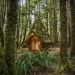 cottagelf:The diamond cabin of the Pacific Northwest