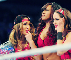 The Bella Twins