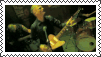 Can You Make Like Mother Mother Themed Stamps,,,