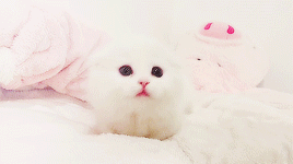ihearteng:  △   