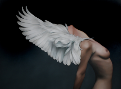 amirdelmar:   Amy Judd 