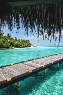 italian-luxury:Clear Waters, Maldivesoh.