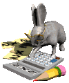 bunny with a calculator