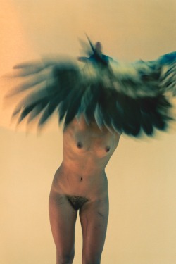 qano:  Ryan McGinley