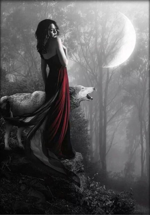heartbrokensubmissive:  ❤🐾