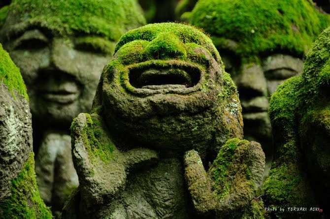 onyxrabbit:  funkalmighty:  taktophoto:  1,200 Whimsical Stone Statues at Buddhist