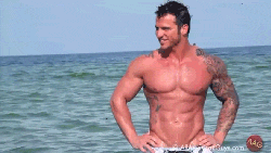 romy7:  Gary Taylor 