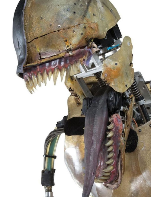 pearly-molars - Puhdas