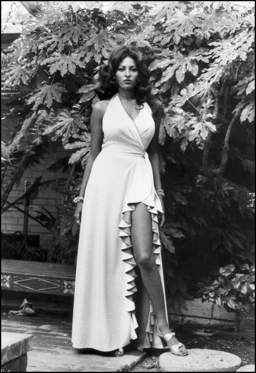 lostpolaroids:  Pam Grier c. 1974