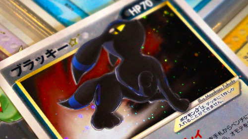 meowgon: queenspritzee: CV ♛ Favourite Cards 4/? プレイヤーズ会員限定プレゼントカード→イーブイルション☆Illus.&n