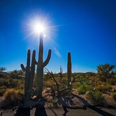 michaelkloth-happy-thanksgiving-from-tucson-az