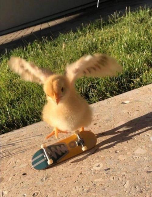 Hmmm