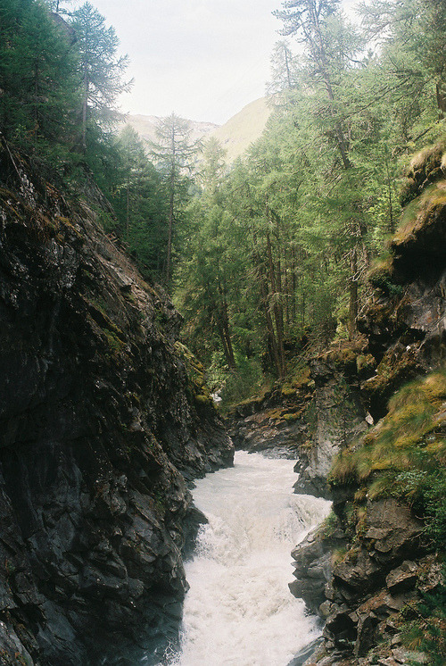 euphoricspirit:  F1100002 (by caitlin frunks)