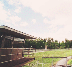 :  The Walking Dead Meme → 4 Locations The Prison [&frac34;] 