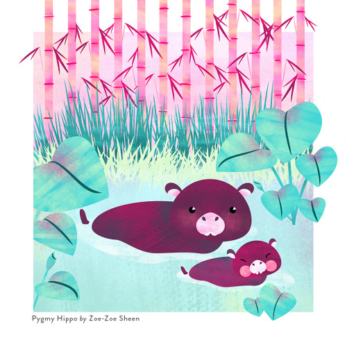 eatsleepdraw: Pygmy Hippo illustration by Zoe-Zoe Sheen Woo! Thanks for posting my illo!