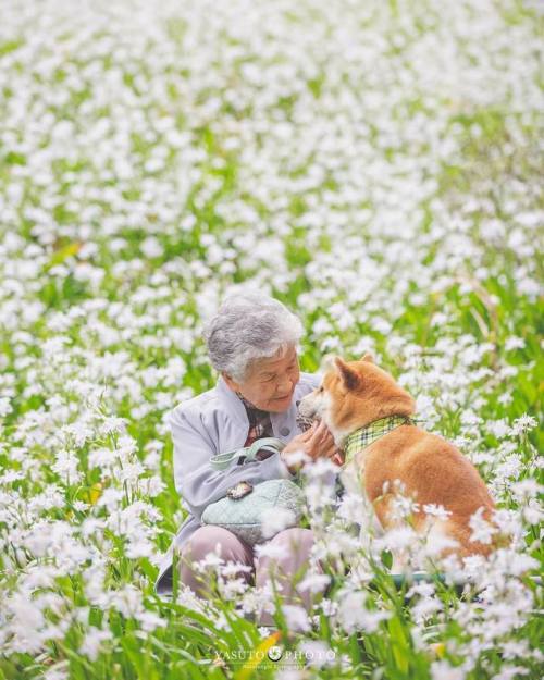 nae-design: Japanese photographer Yasuto captures his grandmother and shiba.