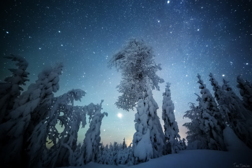 tiinatormanenphotography:Night walk.  I really love winter nights, cold but there is something very mystical.  21/22th Jan 2015 , Southern Lapland, Finland. by  Tiina Törmänen     www | FB 