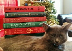 beckisbookshelf:  I wanted Fred to pose with some books today. He wanted me to go away. Fair trade.