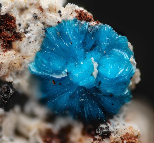 underthescopeminerals:  Sampleite Locality:Engaño Feliz Mine, Las Pintadas district, Tierra Amarilla, Copiapó Province, Atacama Region, ChileRosette cluster of sampleite crystals on matrix.Geological Setting:Oxidized  zones of copper deposits in arid