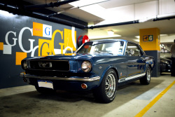 sbprncss:  kphamphoto:  Blue Steed  perfect  UNF!