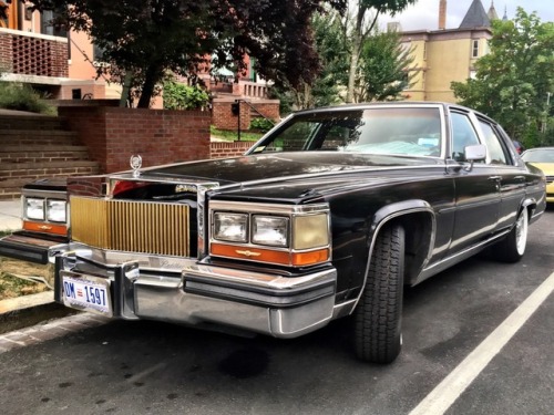 pimpseries:Living my life like it’s golden