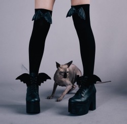 dollskill:  Come alive in da night cuz that’s