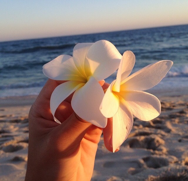 Onde Deus te colocar, floresça.