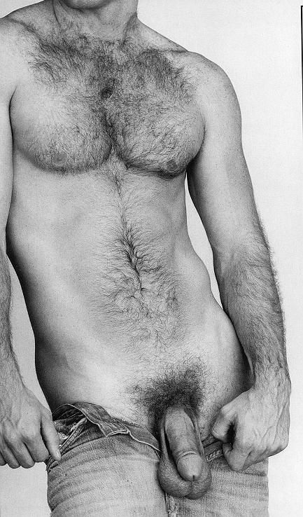 scofflawscallawag2:  Furry, muscular, big balls