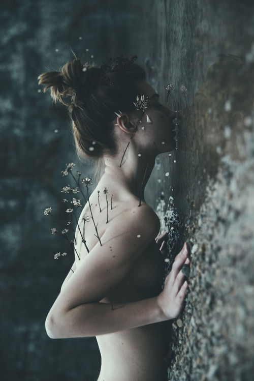 kosmickonduit: crossconnectmag:  Dreamlike and Poetic Photographs by Bleeblu  and  Moon  La faune et
