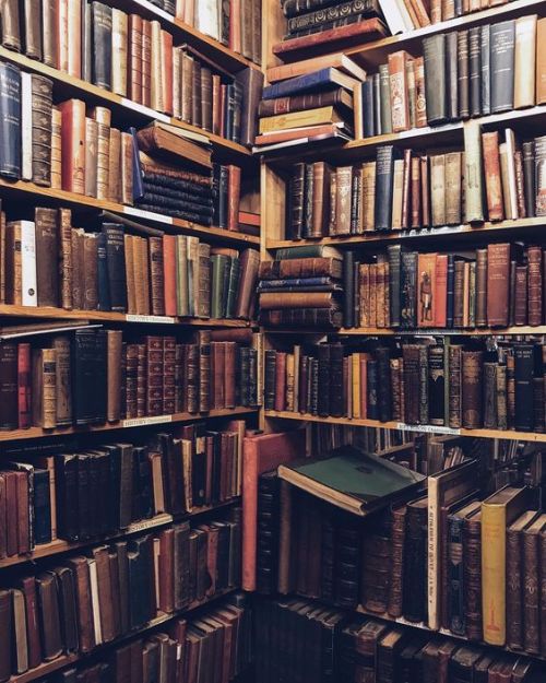 + Book blog to add to your follow list – Book store to find your reading list +