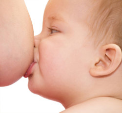 ginecoobstetricia:  Lactancia. Cuando nace el bebé y se expulsa por fin la placenta,  se inicia la producción de hormonas que estimulan la lactancia materna. Esta acción se ve favorecida aún más cuando el bebé, por su propio reflejo instintivo,