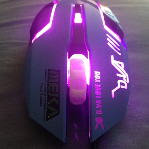youngllady:phyla-vell:look how amazing my new mouse is!op posted where they got it !!!