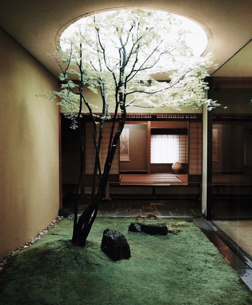 design-art-architecture:The indoor garden, Kyoto @walkergarden