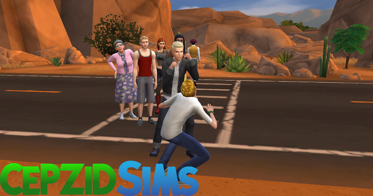 Brawling mod sims 4