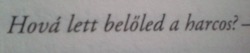 hajos-szandra:  Meggyilkolták a kis gecik.